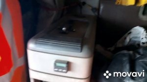 фредлайнер аргоси