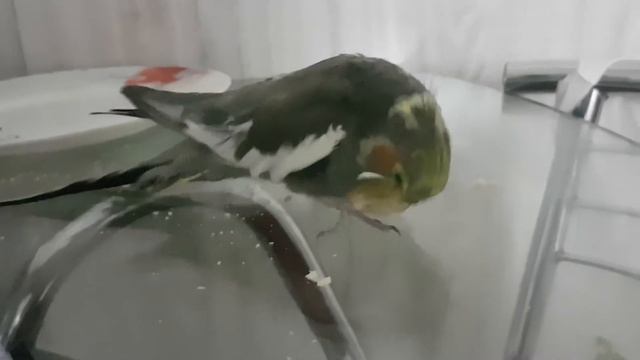 Чика воюет за хлеб) смотреть онлайн