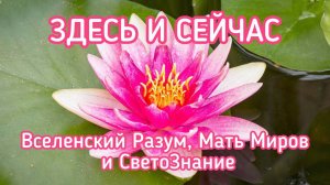 ЗДЕСЬ И СЕЙЧАС / ВСЕЛЕНСКИЙ РАЗУМ, МАТЬ МИРОВ И СВЕТОЗНАНИЕ