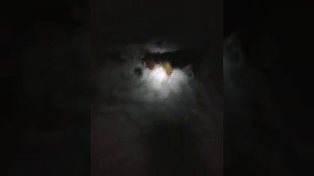 video-2013-12-11-17-54-24.mp4 смотреть онлайн