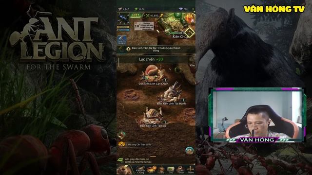 Chơi thử Game Ant Legion For The Swarm |Thần Hóng смотреть онлайн