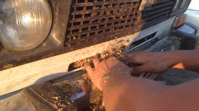 Внук Генерала Ветрова чудит. (Ванька Кривой Рог экстрим в Макортах №1) смотреть онлайн