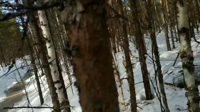 Покатушки в охотничью избу на Велес 33