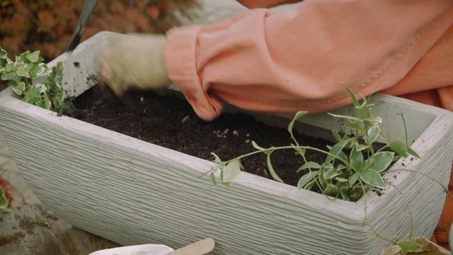 How to plant a bulb lasagna | Gardening смотреть онлайн