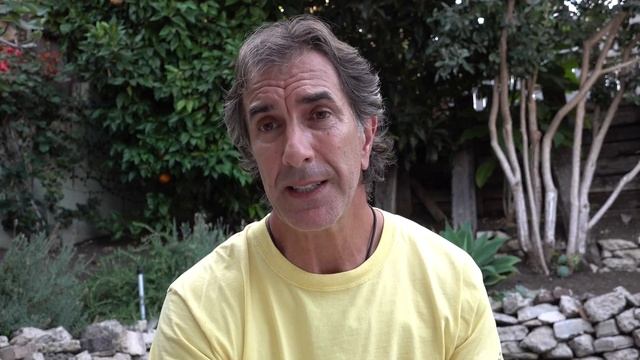 What to Do If Another Dog Barks or Attacks My Dog - Dog Training Advice Video - ask me anything смотреть онлайн