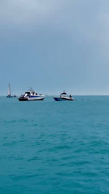 Транспортная полиция в акватории Сочи смотреть онлайн