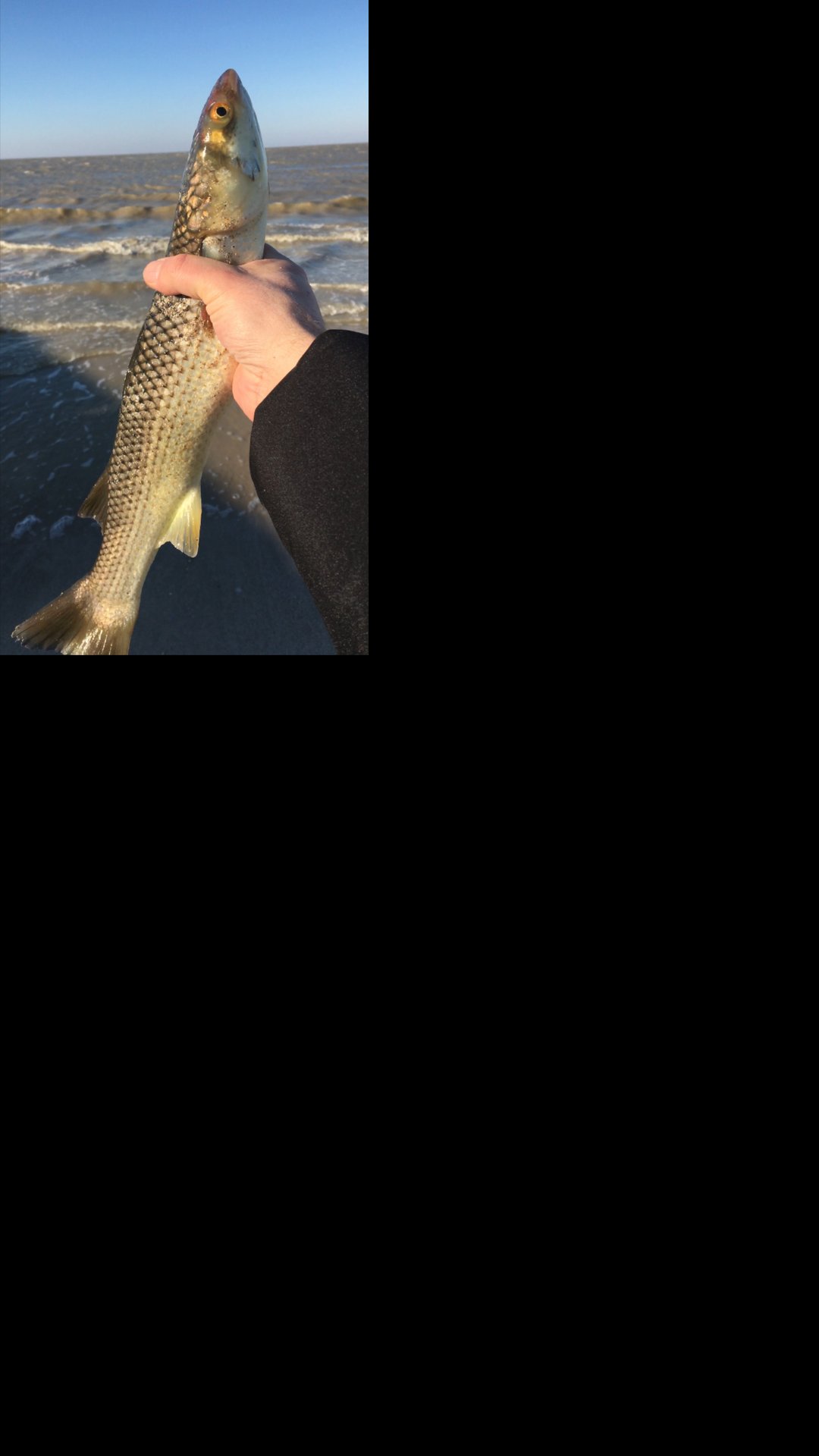 Рыбалка в Ейске. Первый трофей этого года. Азовское море. Ейск смотреть онлайн