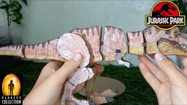 TYRANNOSAURUS REXY | HANMOND COLLECTION |