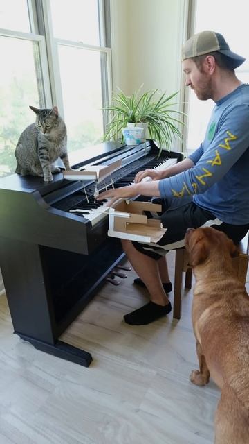 Собака и Котейка музыкальная семейка смотреть онлайн