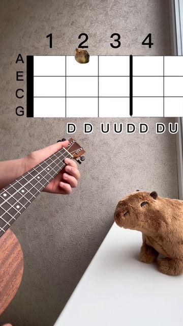 Zach Farache-The loser easy ukulele tutorial with capybara #ukulele #reels #tutorial смотреть онлайн