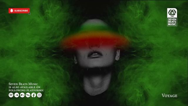 Babylon Illusion • DUB & TRIPHOP 2023 Mix Vol. 2 • D-Echo Project • [Special Coffeeshop Selection]