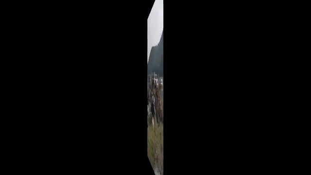 Срочно ПОМОЩЬ ШАМАНУ!!! смотреть онлайн