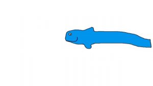 Sea Animals 2 - The Kids' Picture Show