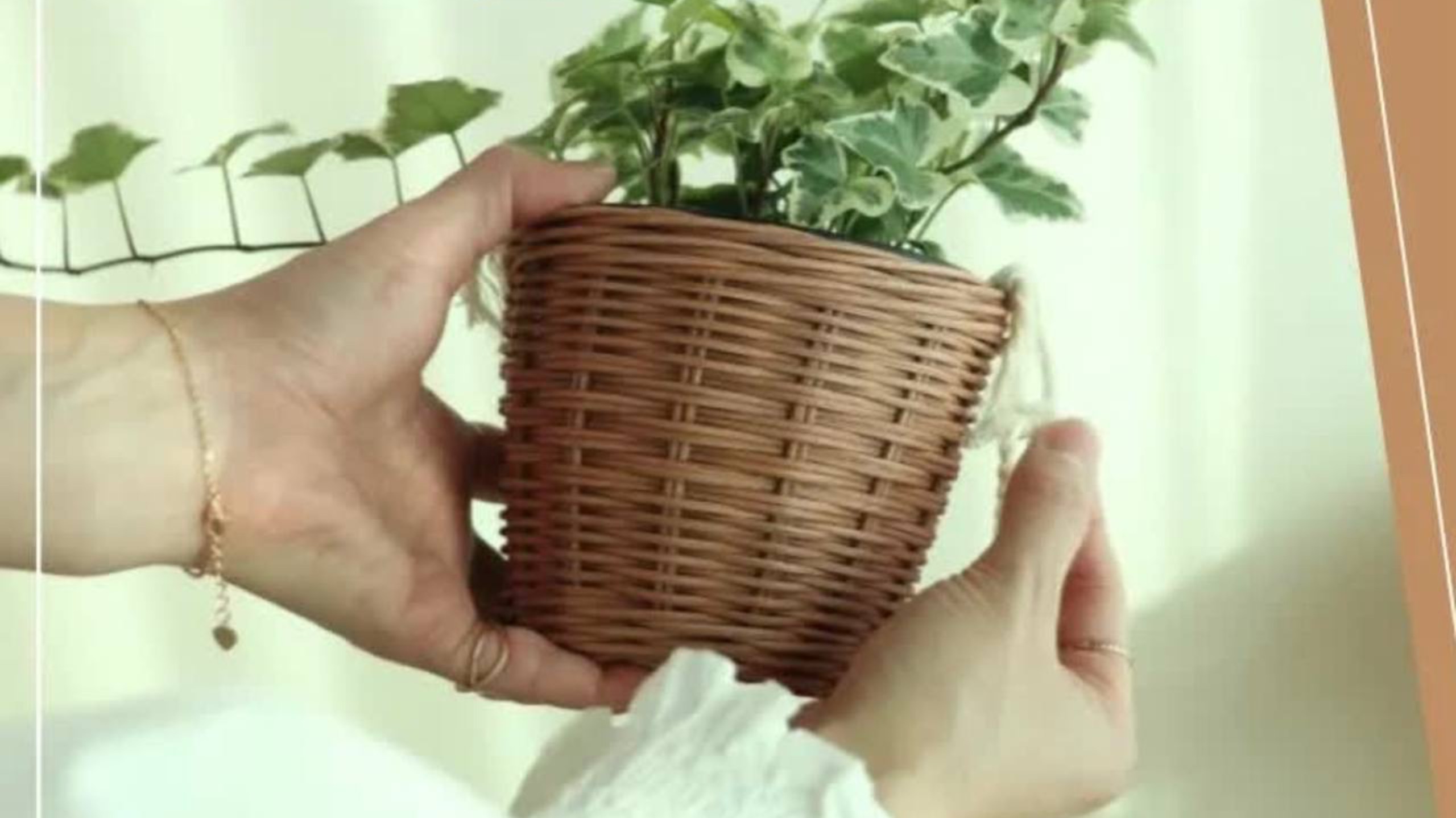 Бескаркасное кашпо из ротанга смотреть онлайн