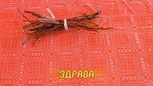 Сабельник болотный