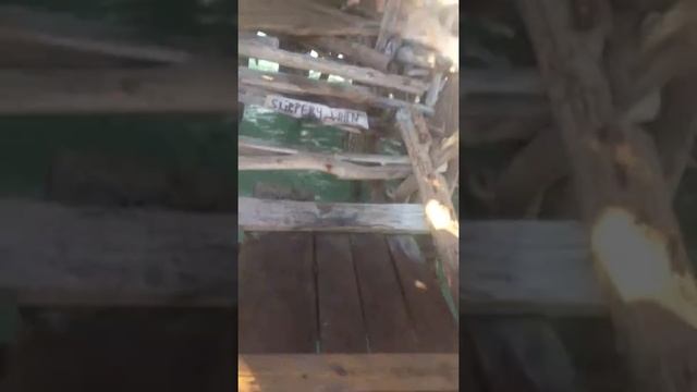 Jamaica Pelican bar negril смотреть онлайн