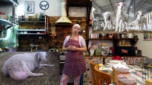 ЗАБРОНИРОВАЛА ЯГНЯТ ЛАКОН 🌷 МЕЧТА ОБ ОВЕЧЬЕМ СЫРЕ🌷🌼🧀