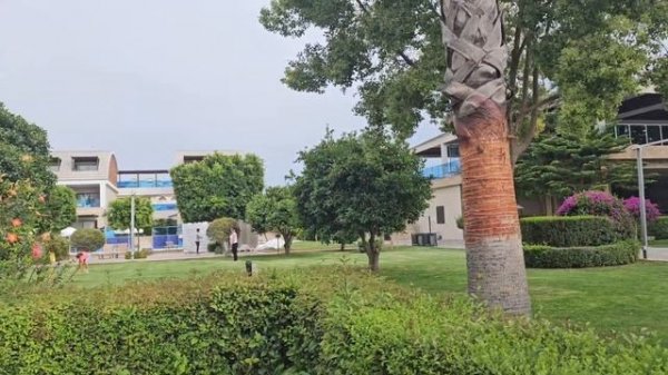 Tui Magic Life Jacaranda 5* один из лучших семейных отелей Сиде #сиде #отпуск