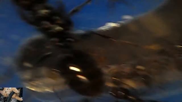 Муравей.(: смотреть онлайн