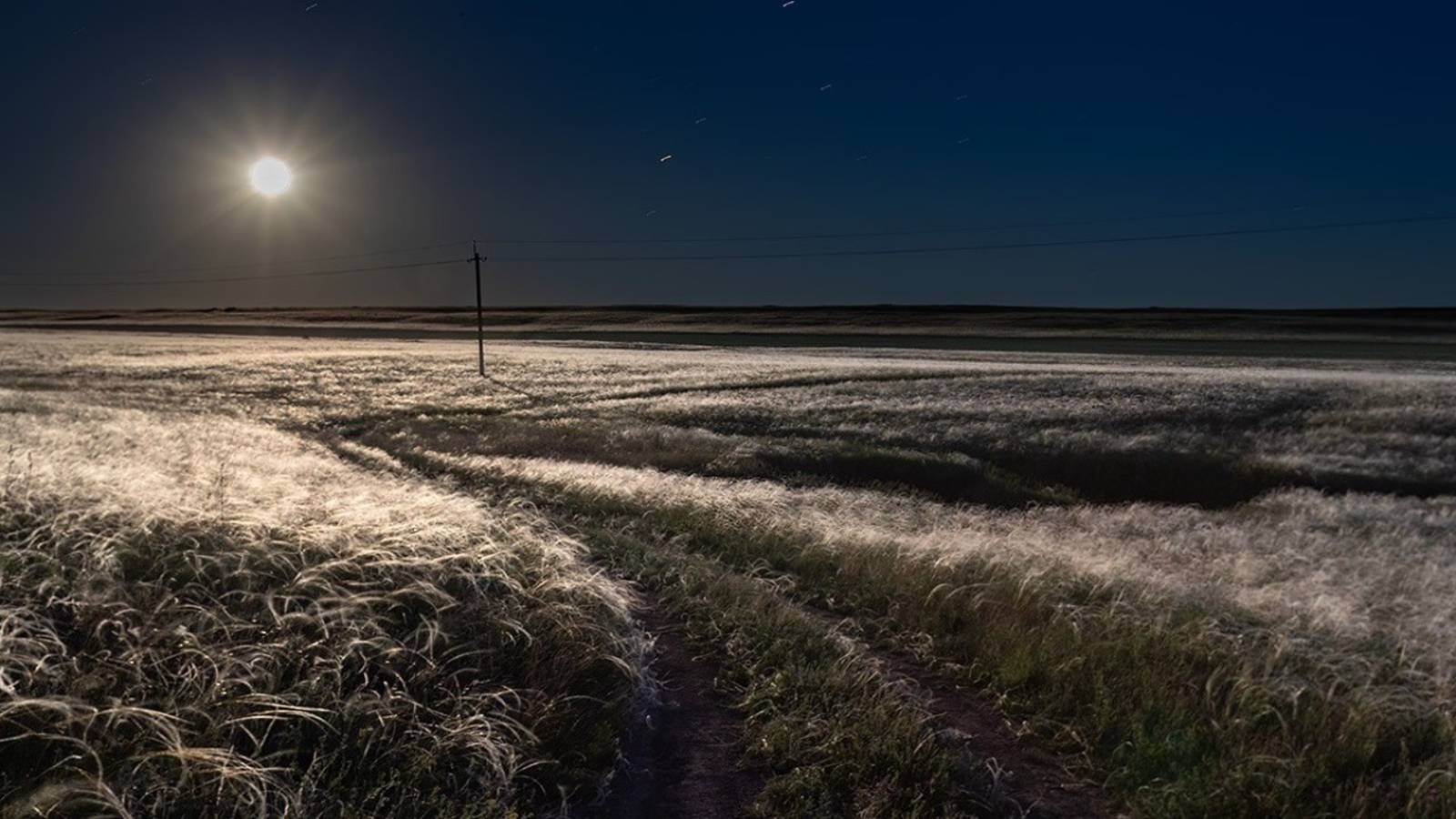 Травы , травы , травы не успели... смотреть онлайн
