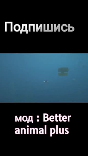 Классный мод на животных для майнкрафт #shorts смотреть онлайн