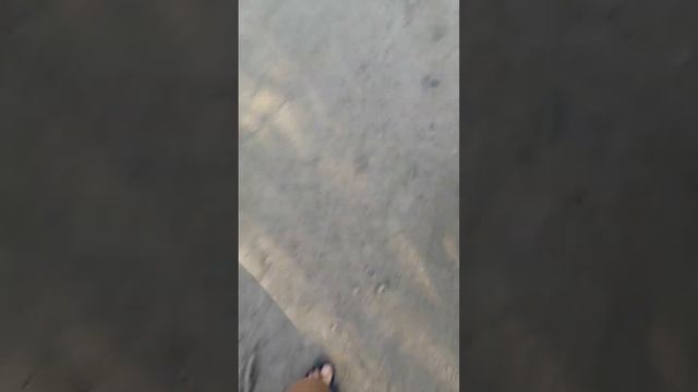 Зеленые уютности