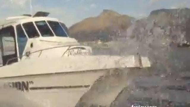 Lee Cat 800 W/A - Leisure Boating Review смотреть онлайн