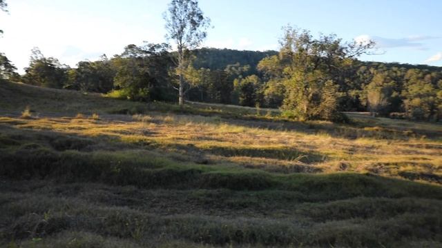 FROM LITTLE THINGS, BIG THINGS GROW!