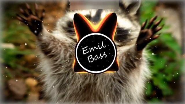 Я енотик полоскун (remix) (bass boosted) | Emil Bass #bassboosted #remix смотреть онлайн