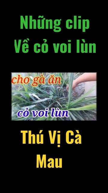 #short .cỏ voi lùn. #thuvicamau смотреть онлайн