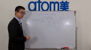 2 2 Маркетинг План Атоми Бинарные Шаги