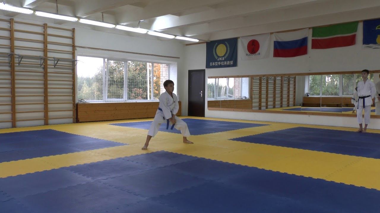 ката СК "БУДО" техника каратэ смотреть онлайн