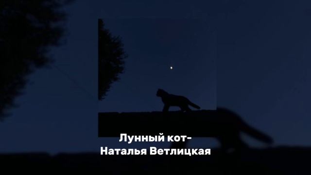 Лунный кот-Наталья Ветлицкая смотреть онлайн