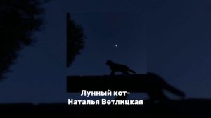 Лунный кот-Наталья Ветлицкая