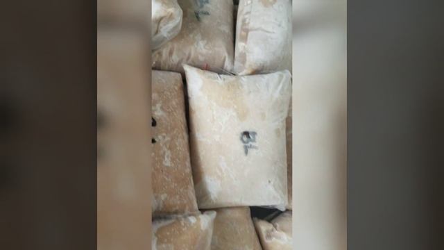 Jual ikan tenggiri giling jakarta barat kualitas ekspr hub. | WA. 081359992057 смотреть онлайн