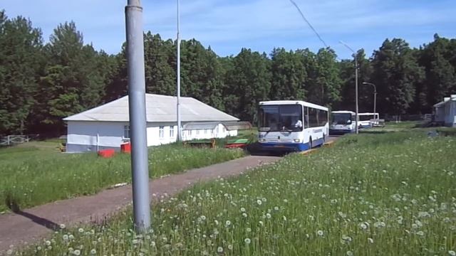 сокол смотреть онлайн
