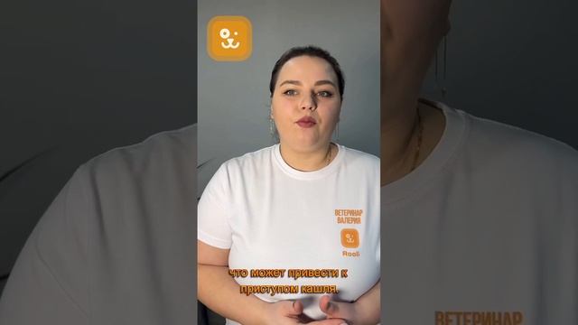 Кошка кашляет. Причины кашля у кошек и котов. #кашельукота #rooli #кашельуживотных смотреть онлайн