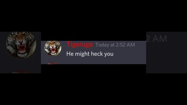 When Beluga is a Discord bot смотреть онлайн