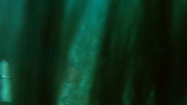 4th Window West Palm Calypso Dive Charter Christmas Vacation 2023 Grace Cam смотреть онлайн