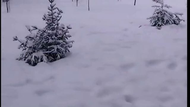 пушистый февраль смотреть онлайн