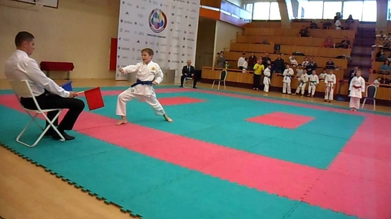 ката СК "БУДО" техника каратэ смотреть онлайн