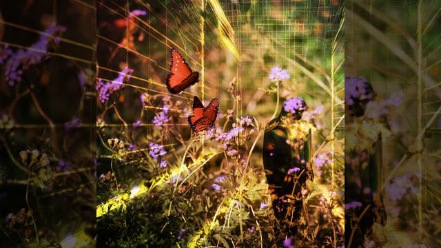 Go Piss Girl смотреть онлайн