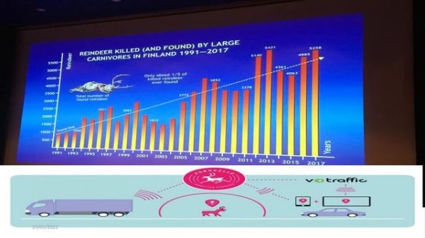 6. Digitalization in the reindeer value chain as a means of promoting food security