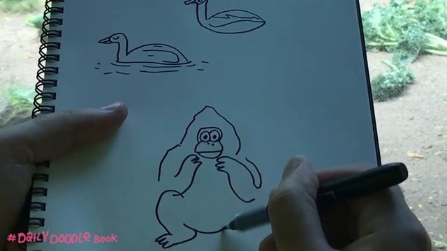 Jon Burgerman's Daily Doodle - How to draw a gorilla смотреть онлайн