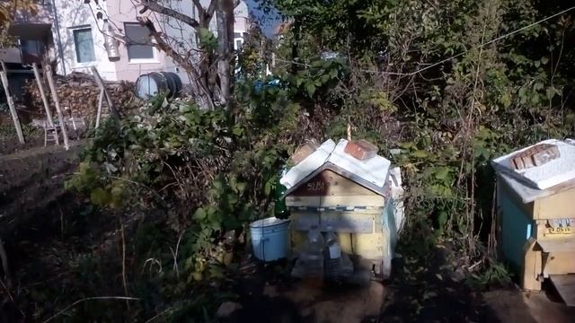 Дом Чайка 27.10.2018. смотреть онлайн