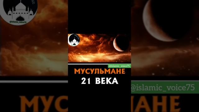 Ассалам алейкум мусульмане кто думает правильно ставим лайки смотреть онлайн