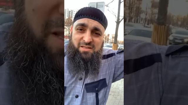 Кулиев и Хехоев смотреть онлайн