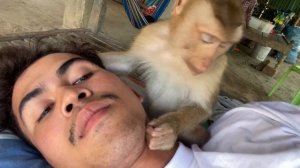 ASMR Monkey Grooming| Is The Long Time To Grooming Me Very Nice Zueii!!