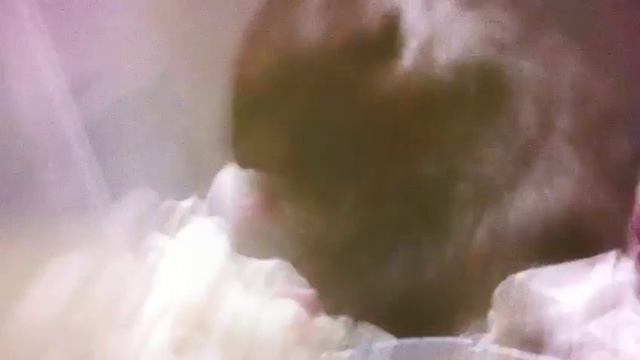 БЕЛОЧКА И ПЕНОЧКА смотреть онлайн