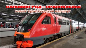 Поезд "Калининград — Краснолесье". Новый туристический маршрут от КППК